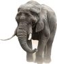 Elephant Constructions company limited